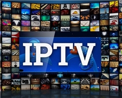 +14.000 LIVE STREAM